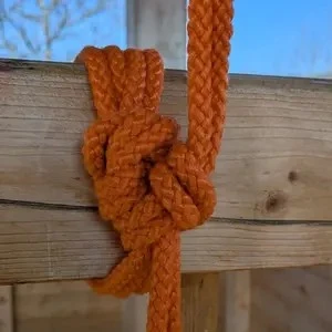 Bowline arround two arms